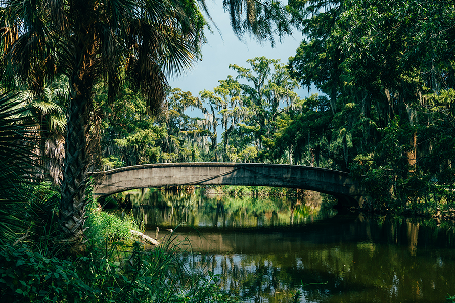 LM24-Nola-garden