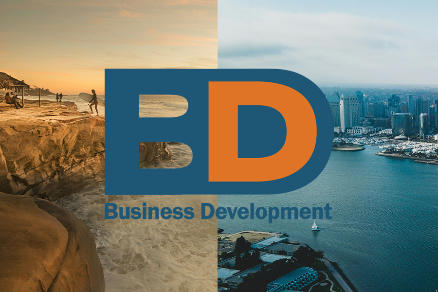 BD (Business Development)