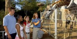 San Diego Zoo Behind the Scenes